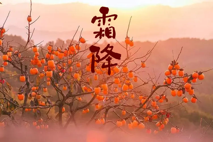 D(zhun)g˪һůƶﶬ